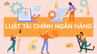 Học luật tài chính ngân hàng là làm gì?