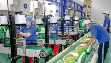 Dây chuyền đóng gói gạo Hương Việt – đảm bảo an toàn và chất lượng