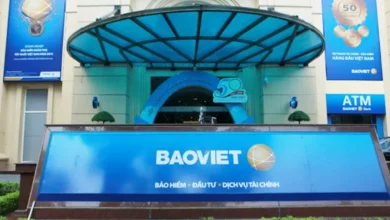 Bảo Việt - Doanh nghiệp bảo hiểm số 1 Việt Nam với thị phần vượt trội