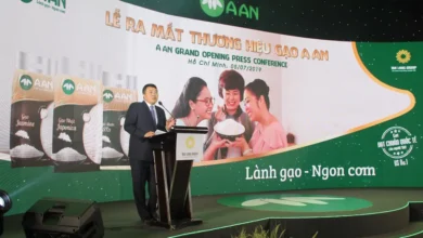 Gạo sạch A An - Chuỗi giá trị khép kín từ ruộng đến bàn ăn
