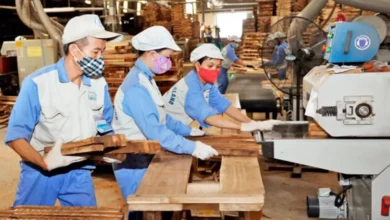 Nhất Hưng phát triển bền vững chuỗi giá trị chế biến gỗ