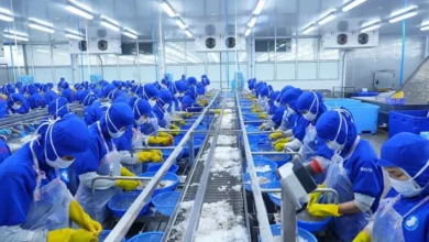 Thuận Phước là cánh chim đầu đàn thủy sản miền Trung